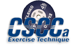 CSCCa_ex_tech_Partner_4_Way_Neck.htm